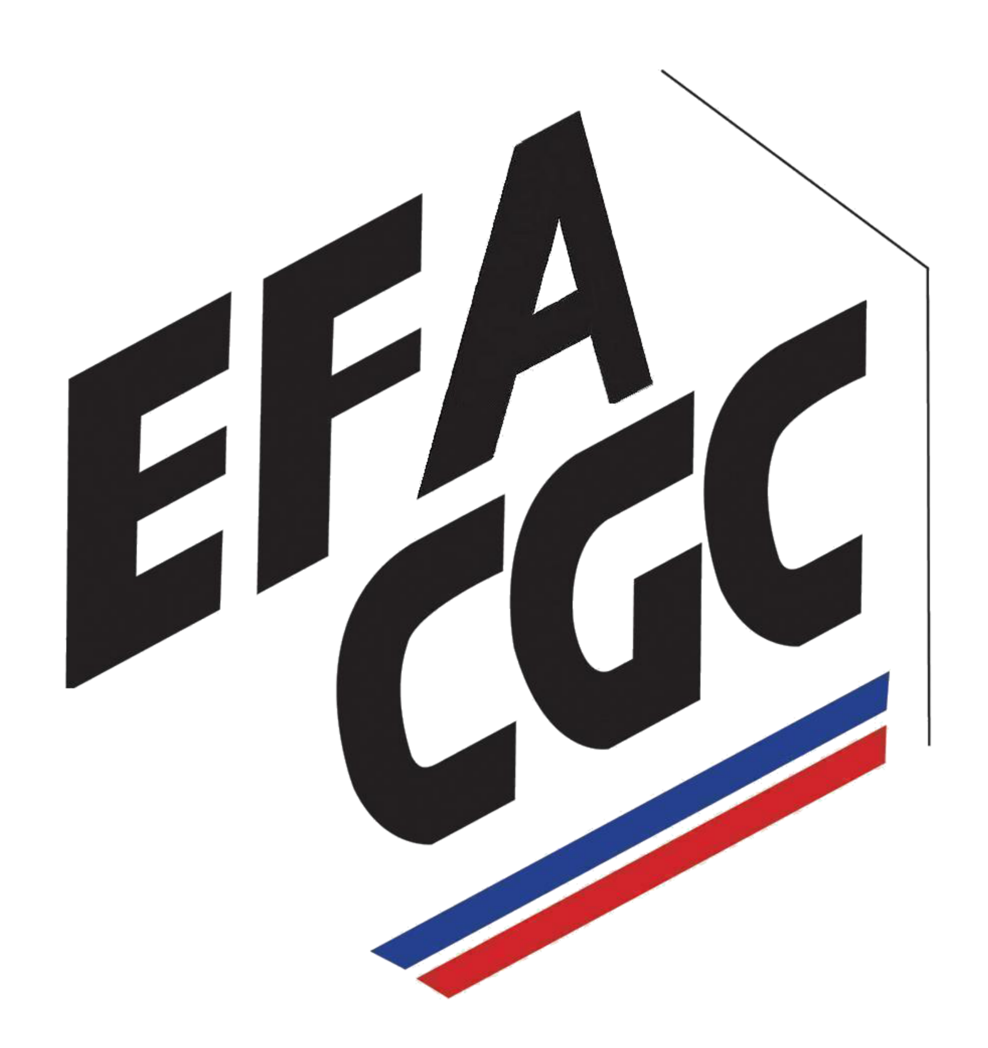 Logo Syndicat